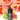 Salt SHAQ Nicotine Salt Vape Juice